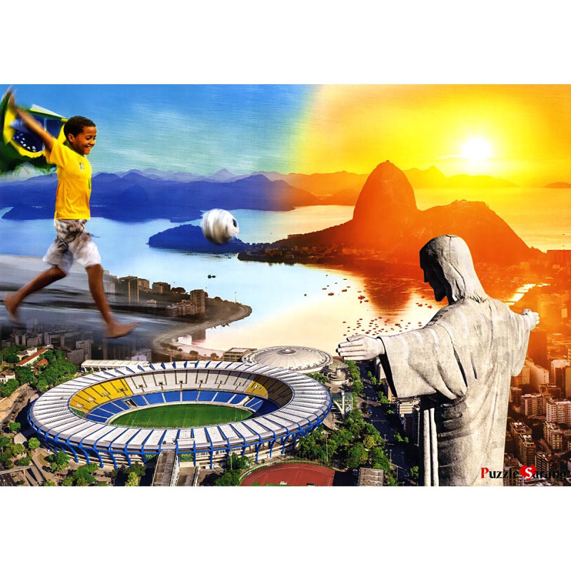 2014 브라질 월드컵